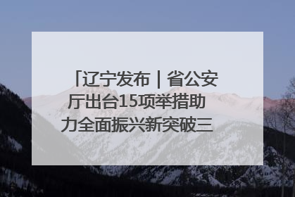辽宁发布｜省公安厅出台15项举措助力全面振兴新突破三年行动决胜之战