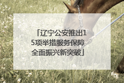 辽宁公安推出15项举措服务保障全面振兴新突破