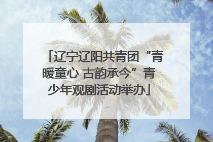 辽宁辽阳共青团“青暖童心 古韵承今”青少年观剧活动举办