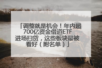 调整就是机会！年内超700亿资金借道ETF进场扫货，这些板块最被看好（附名单）
