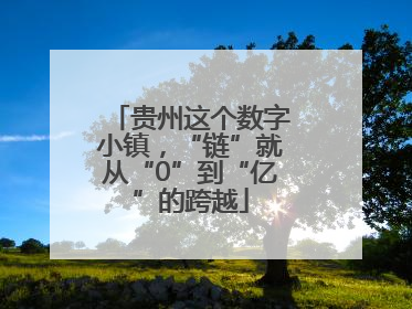 贵州这个数字小镇，“链”就从“0”到“亿”的跨越