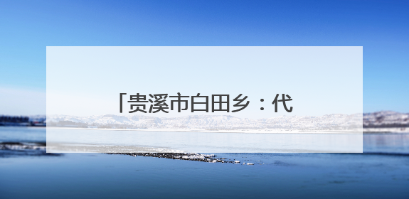 贵溪市白田乡：代表织密安全网，守牢假期安全关（图）