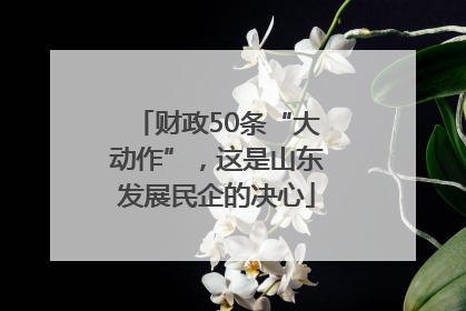 财政50条“大动作”，这是山东发展民企的决心