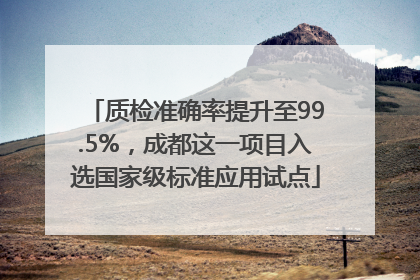 质检准确率提升至99.5%，成都这一项目入选国家级标准应用试点