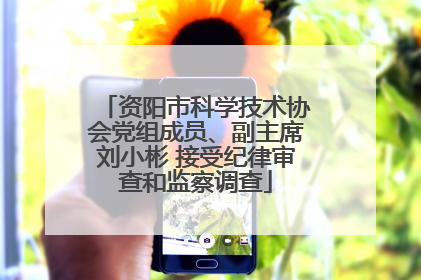 资阳市科学技术协会党组成员、副主席刘小彬 接受纪律审查和监察调查