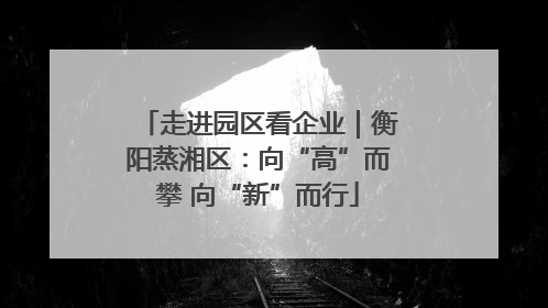 走进园区看企业｜衡阳蒸湘区：向“高”而攀 向“新”而行