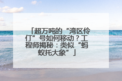 超万吨的“湾区伶仃”号如何移动？工程师揭秘：类似“蚂蚁托大象”