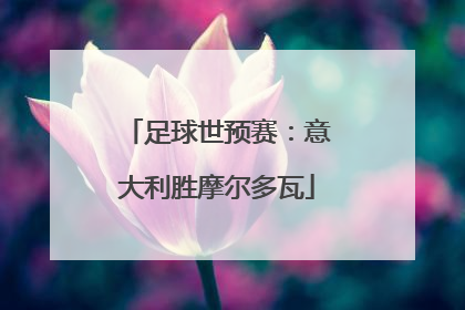 足球世预赛：意大利胜摩尔多瓦