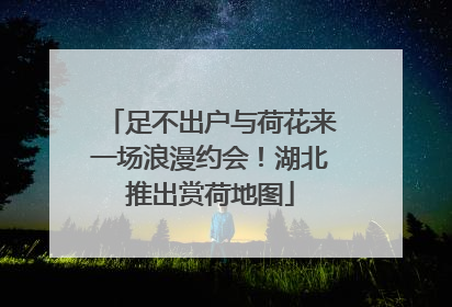 足不出户与荷花来一场浪漫约会！湖北推出赏荷地图