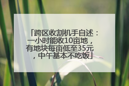 跨区收割机手自述：一小时能收10亩地，有地块每亩低至35元，中午基本不吃饭