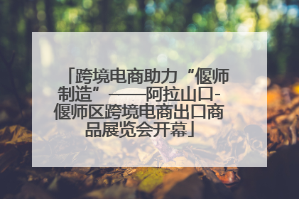 跨境电商助力“偃师制造”——阿拉山口-偃师区跨境电商出口商品展览会开幕
