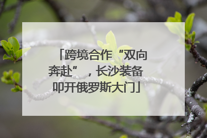 跨境合作“双向奔赴”，长沙装备叩开俄罗斯大门