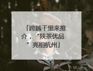 跨越千里来推介，“陕茶优品”亮相杭州