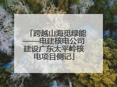 跨越山海觅绿能——电建核电公司建设广东太平岭核电项目侧记