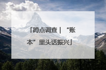 蹲点调查｜“账本”里头话振兴
