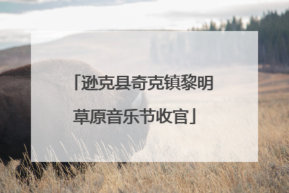逊克县奇克镇黎明草原音乐节收官