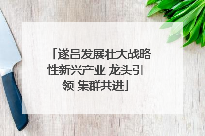 遂昌发展壮大战略性新兴产业 龙头引领 集群共进