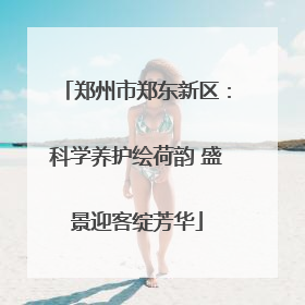 郑州市郑东新区：科学养护绘荷韵 盛景迎客绽芳华