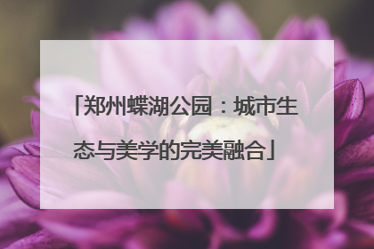 郑州蝶湖公园：城市生态与美学的完美融合