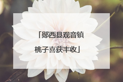 郧西县观音镇桃子喜获丰收