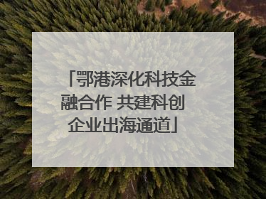 鄂港深化科技金融合作 共建科创企业出海通道