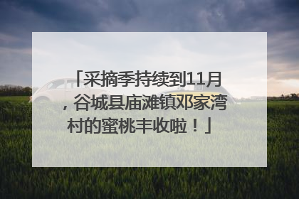采摘季持续到11月，谷城县庙滩镇邓家湾村的蜜桃丰收啦！