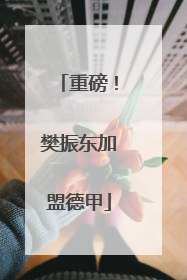 重磅！樊振东加盟德甲
