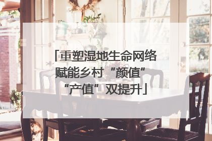 重塑湿地生命网络 赋能乡村“颜值”“产值”双提升