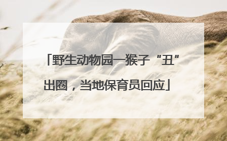 野生动物园一猴子“丑”出圈，当地保育员回应