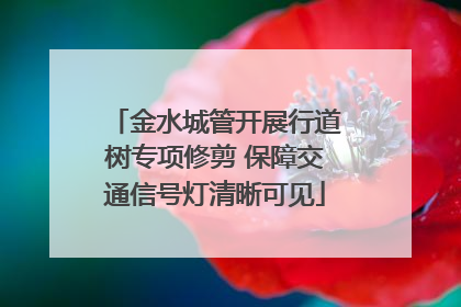 金水城管开展行道树专项修剪 保障交通信号灯清晰可见