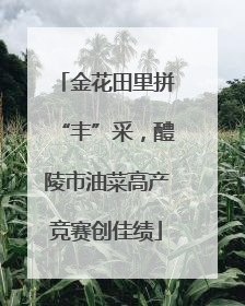 金花田里拼“丰”采，醴陵市油菜高产竞赛创佳绩