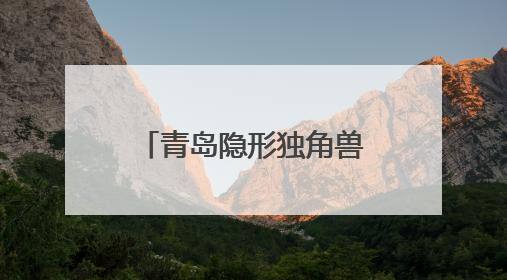 青岛隐形独角兽企业媒体行：揭秘智能家居、芯片技术等创新亮点 共绘科技新篇章