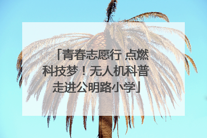 青春志愿行 点燃科技梦！无人机科普走进公明路小学