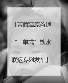 青藏高原首趟“一单式”铁水联运专列发车