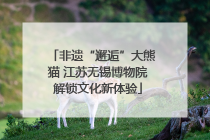 非遗“邂逅”大熊猫 江苏无锡博物院解锁文化新体验