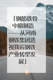 钢筋铁骨 中原制造——从河南钢铁集团透视我省钢铁产业转型发展