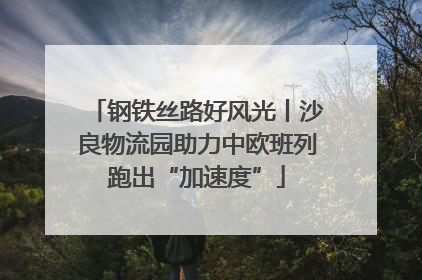 钢铁丝路好风光丨沙良物流园助力中欧班列跑出“加速度”