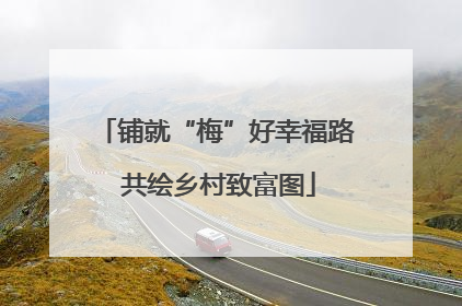 铺就“梅”好幸福路 共绘乡村致富图