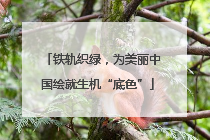 铁轨织绿，为美丽中国绘就生机“底色”