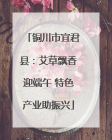 铜川市宜君县：艾草飘香迎端午 特色产业助振兴