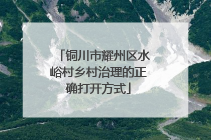 铜川市耀州区水峪村乡村治理的正确打开方式