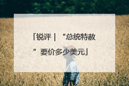 锐评｜“总统特赦”要价多少美元