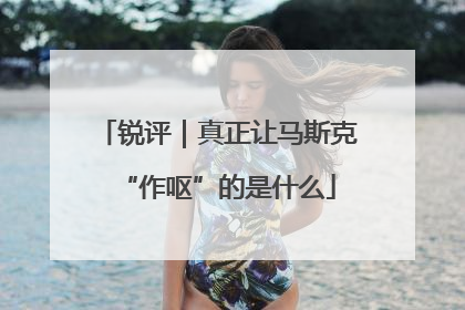 锐评｜真正让马斯克“作呕”的是什么