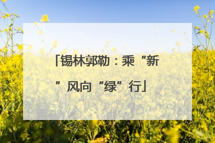 锡林郭勒：乘“新”风向“绿”行