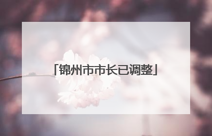 锦州市市长已调整