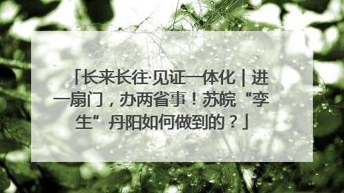 长来长往·见证一体化｜进一扇门，办两省事！苏皖“孪生”丹阳如何做到的？