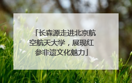 长森源走进北京航空航天大学，展现红参非遗文化魅力