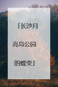 长沙月亮岛公园的蝶变