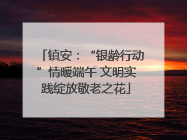 镇安：“银龄行动”情暖端午 文明实践绽放敬老之花