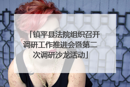 镇平县法院组织召开调研工作推进会暨第二次调研沙龙活动